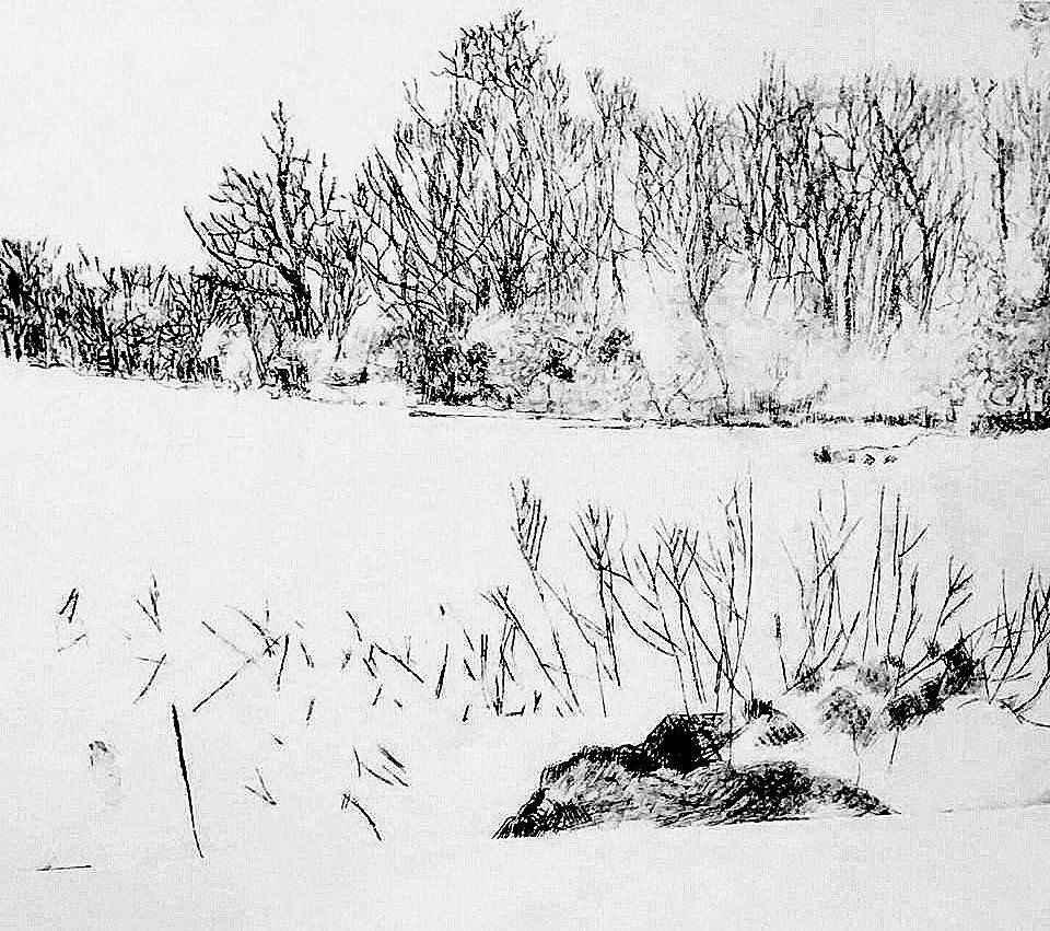 Snowy landscape with bare trees along a riverbank. Brush and ink style.