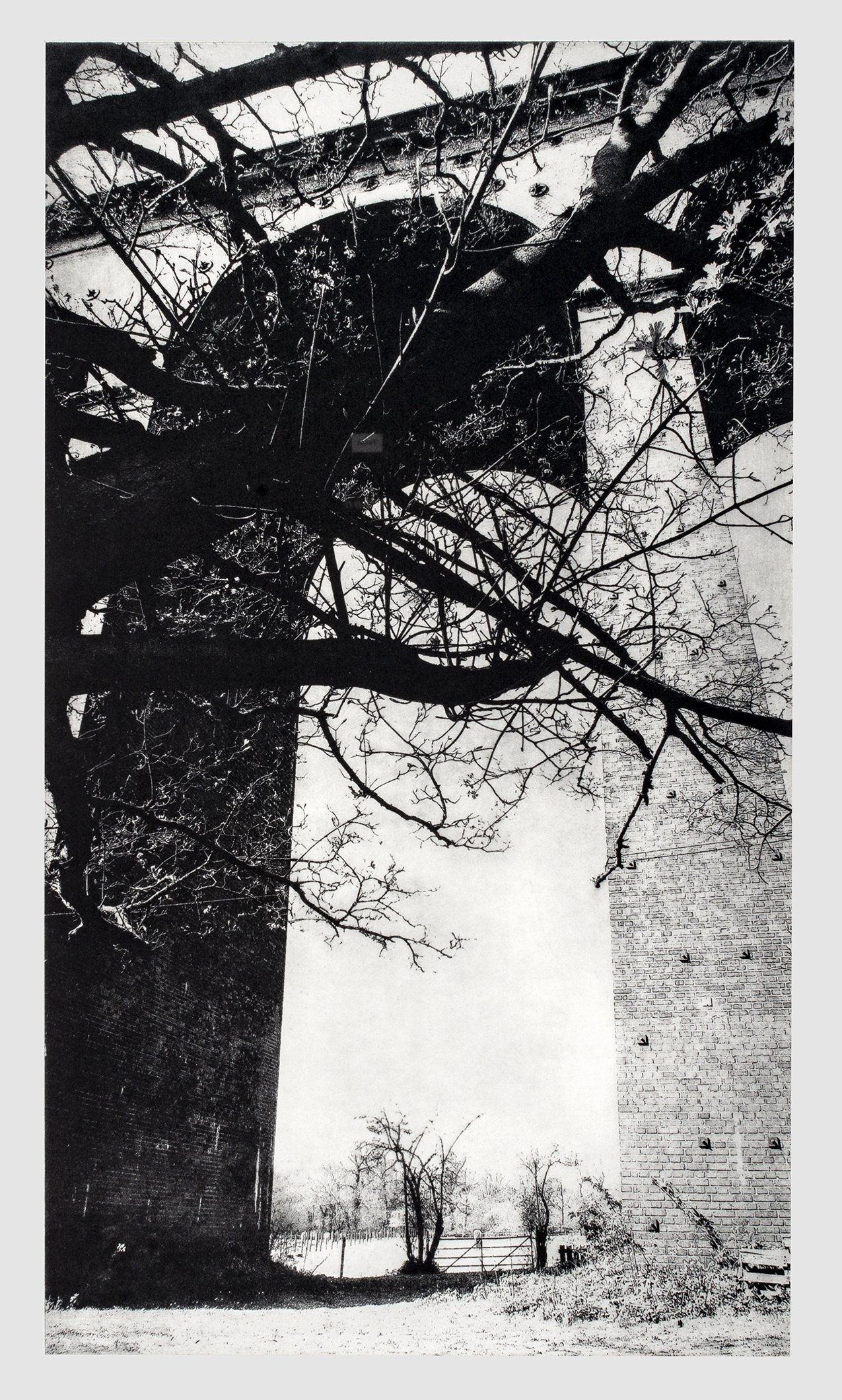 Tree branches frame a sunlit architectural opening with stone benches.