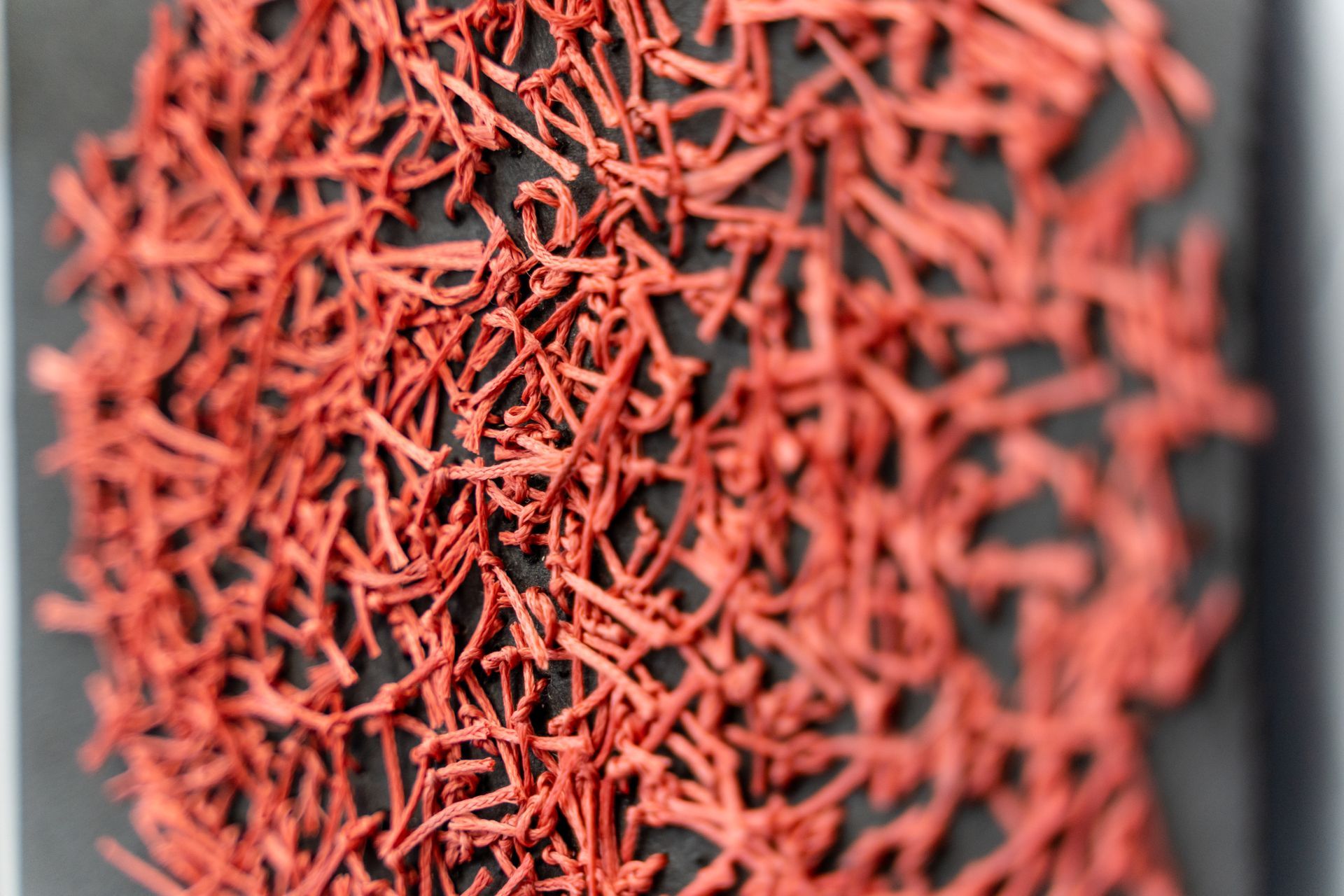 Red, tangled, twig-like shapes against a black background, possibly an artistic silhouette.