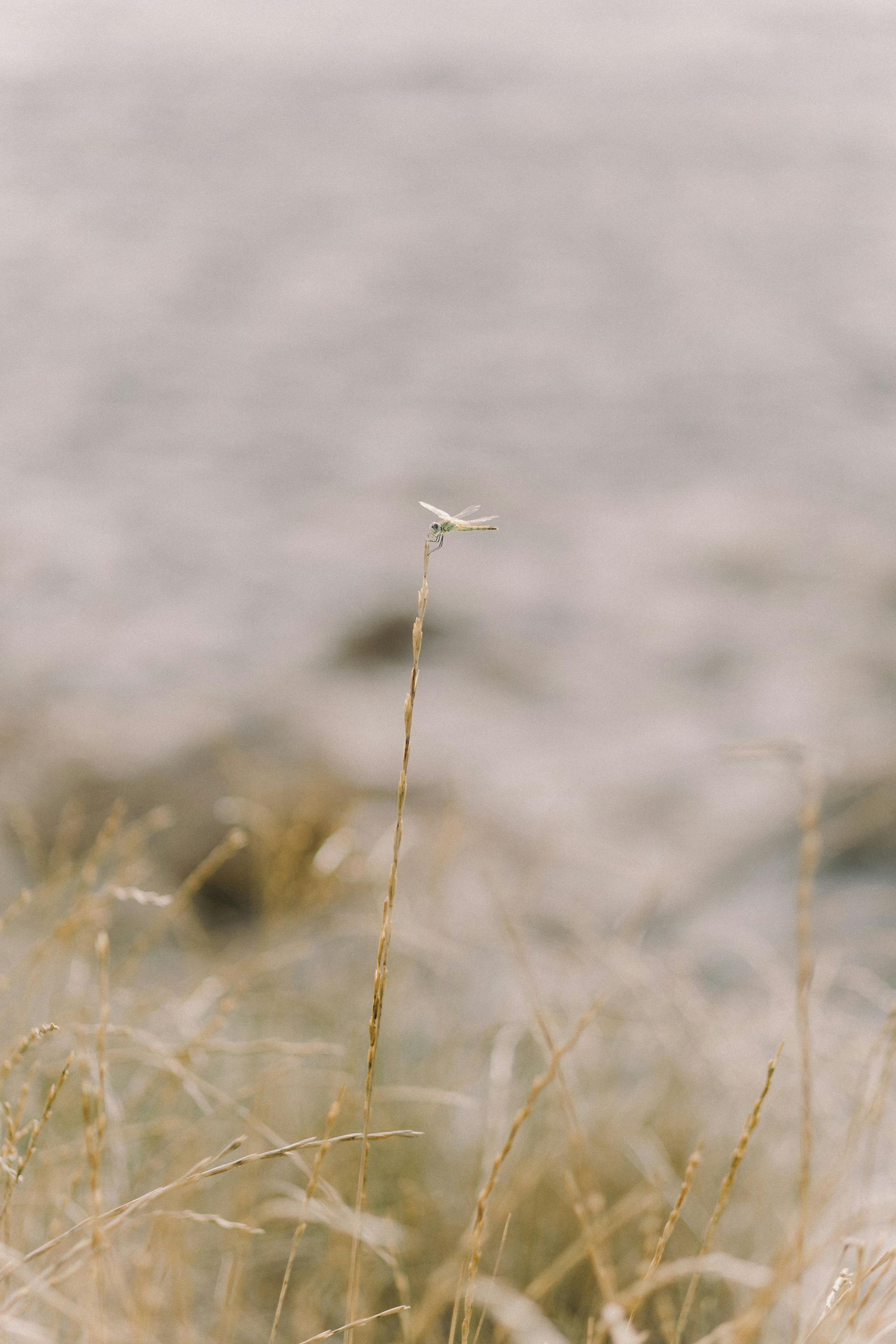Man With Head in Hands Being Comforted by Another Man — Mind Guidance Centre in Wangi Wangi, NSW