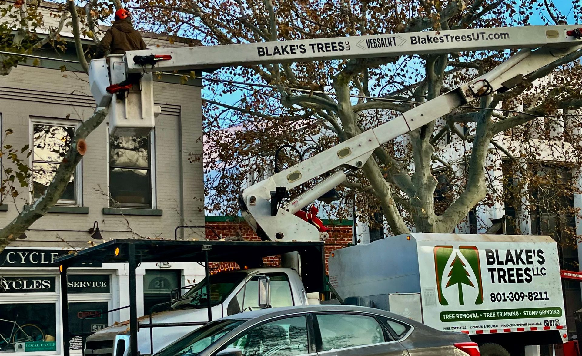 Man in lift bucket trimming tree near a building. Blake's Trees LLC truck and car are in the foreground.