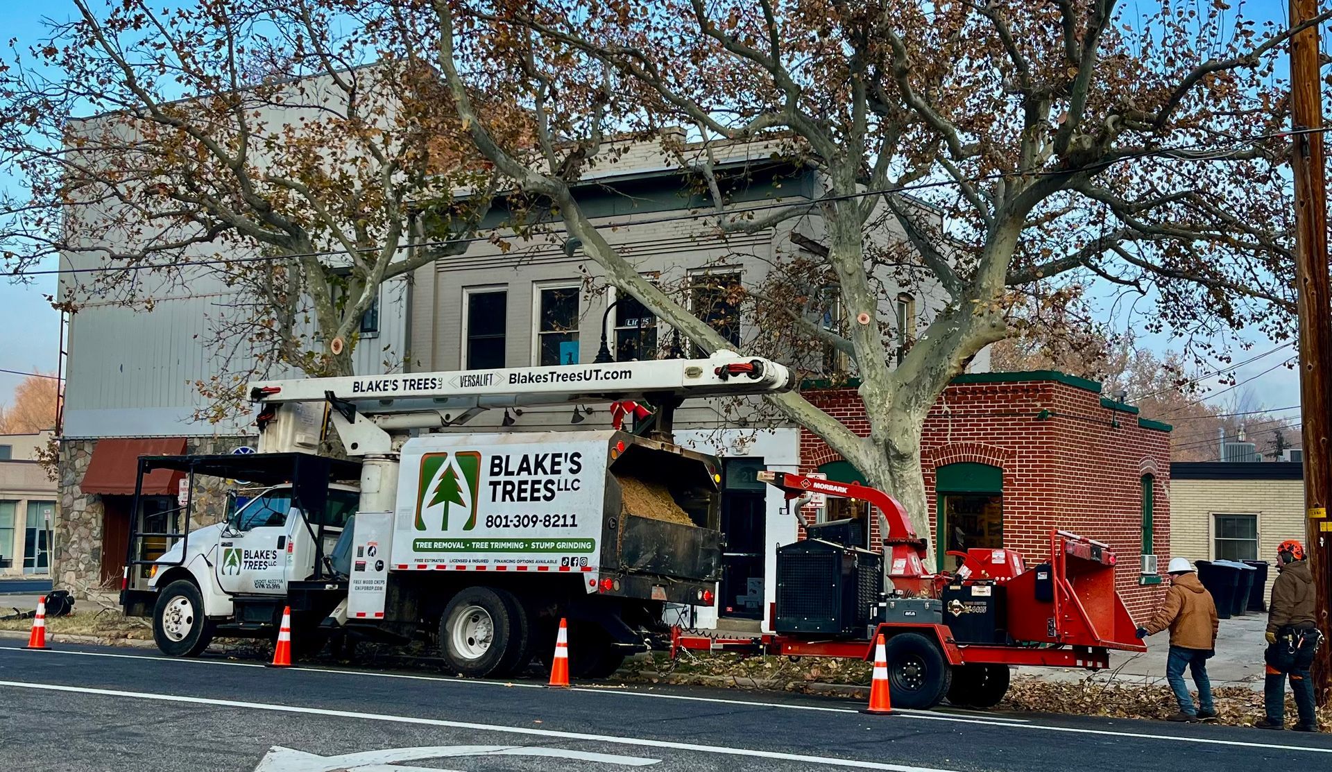 A tree service truck, labeled 