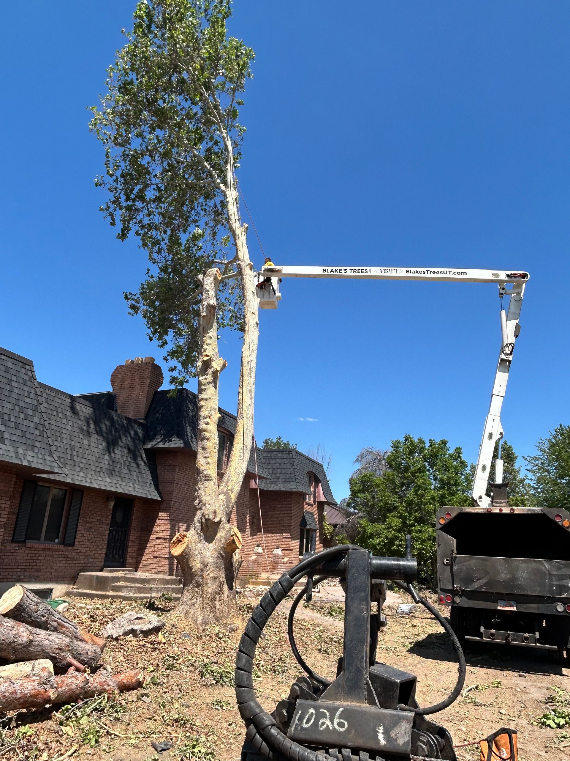 Tree being trimmed by a worker in an aerial lift near a brick house under a blue sky.