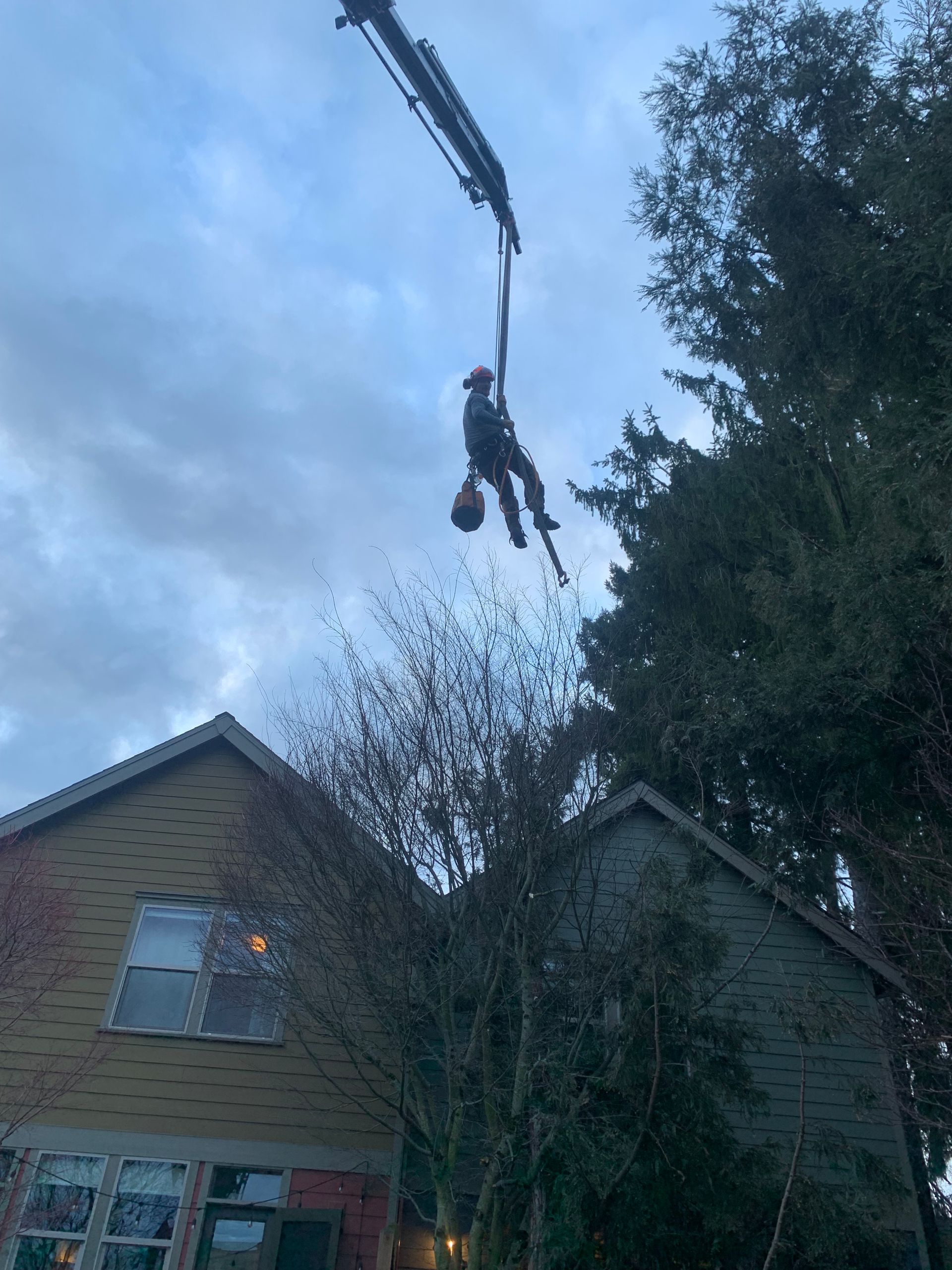 A tree worker suspended from a crane, trimming tree branches near a house under a cloudy sky.