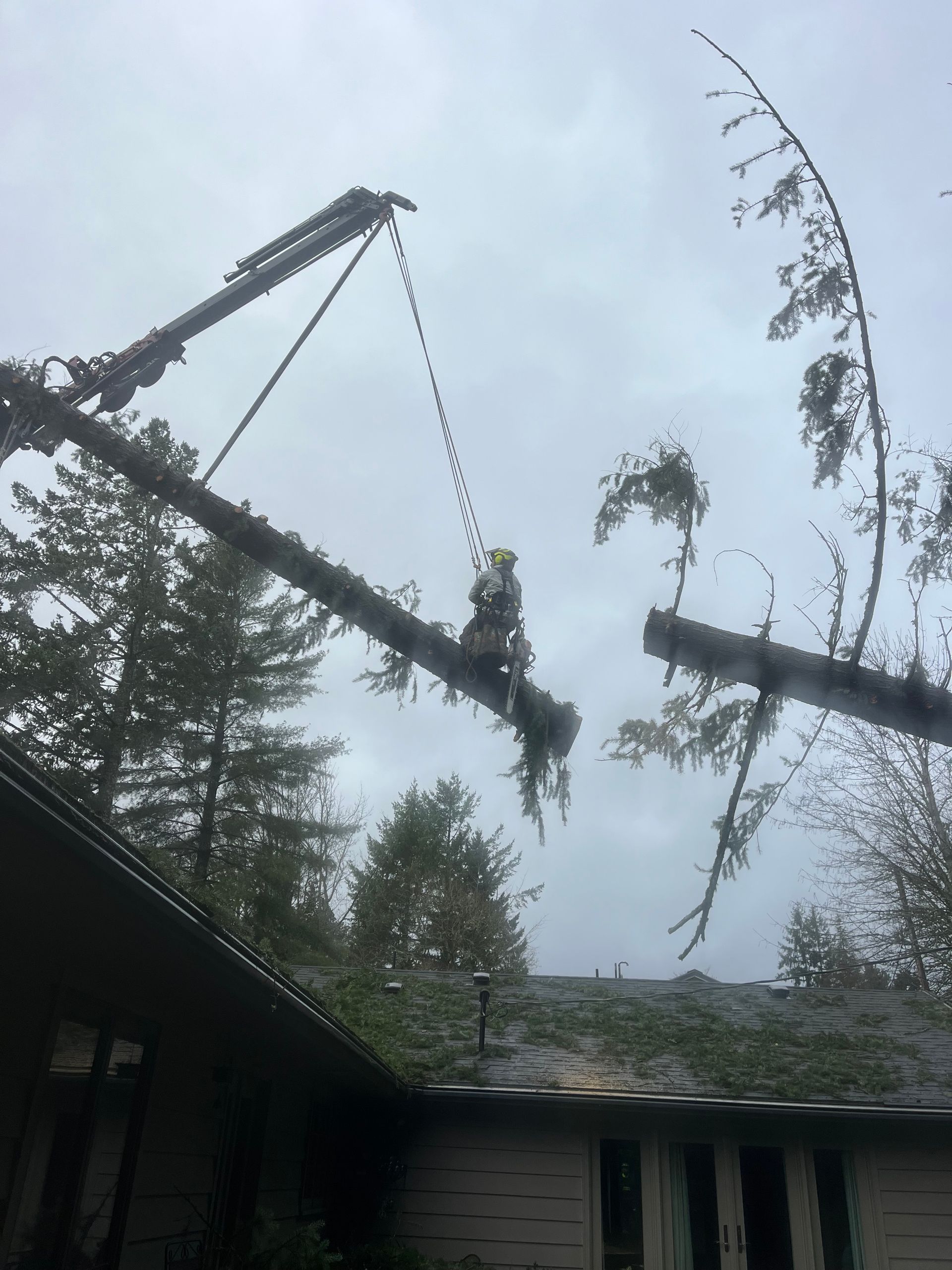 Man cutting a tree branch above a house roof, using a crane in a cloudy setting.