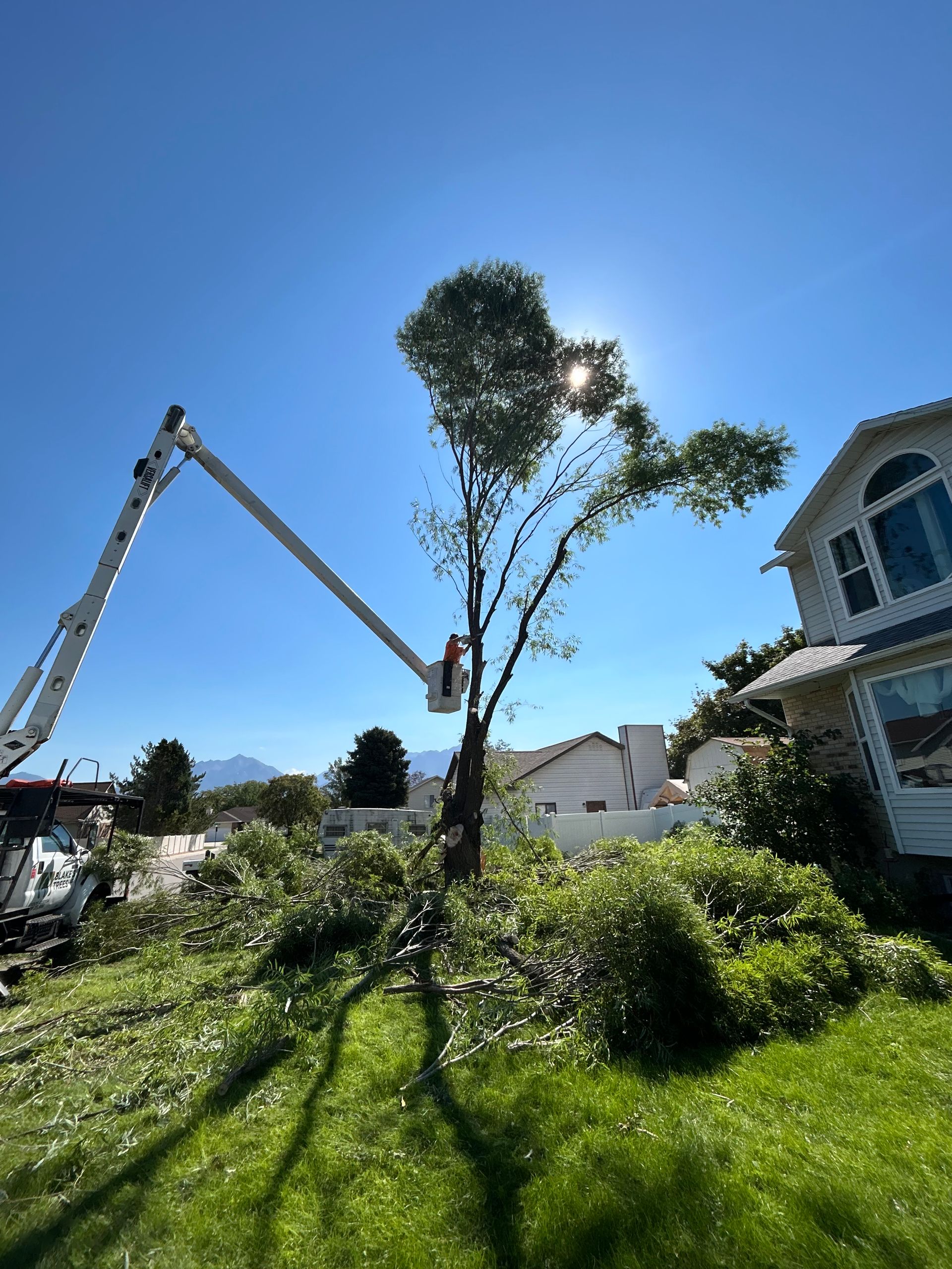 A tree being trimmed by a cherry picker next to a house under a bright blue sky.