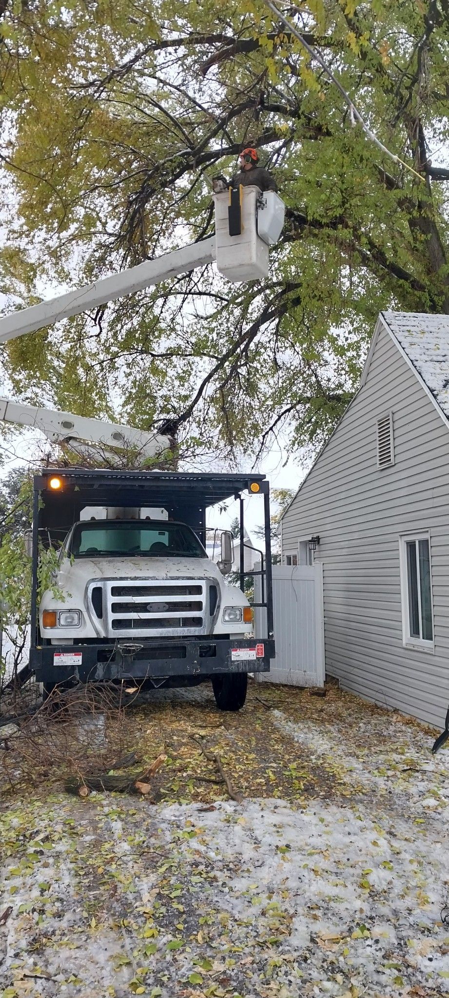 Tree trimming service. A truck with a lift, trimming a tree next to a white house. Ground covered in leaves.