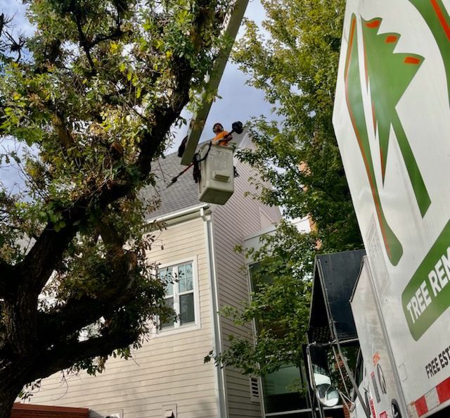 Tree service worker in a bucket lift trims branches next to a building, with a tree removal truck visible.