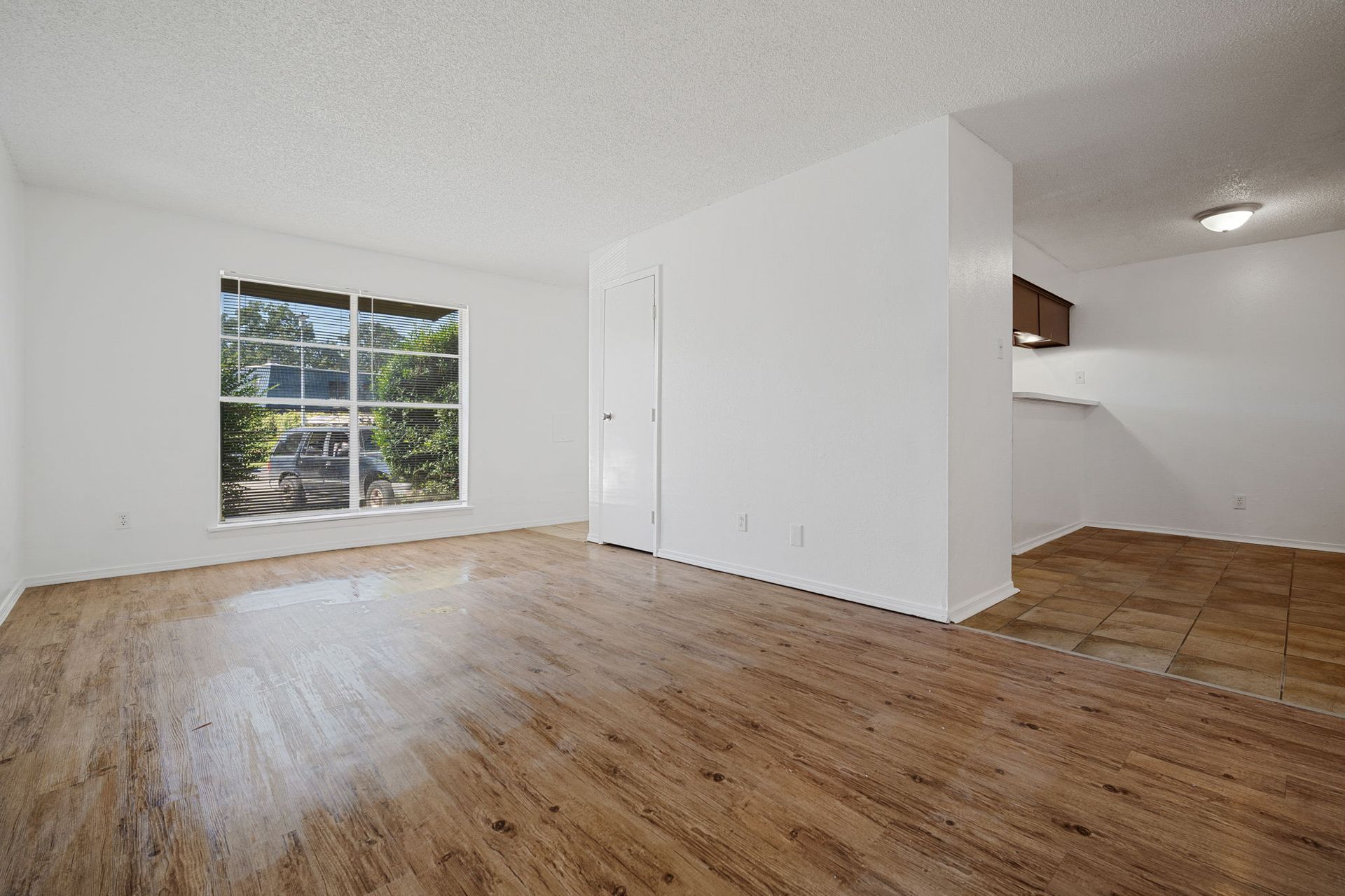 Photo showing a living room with plenty of natural light