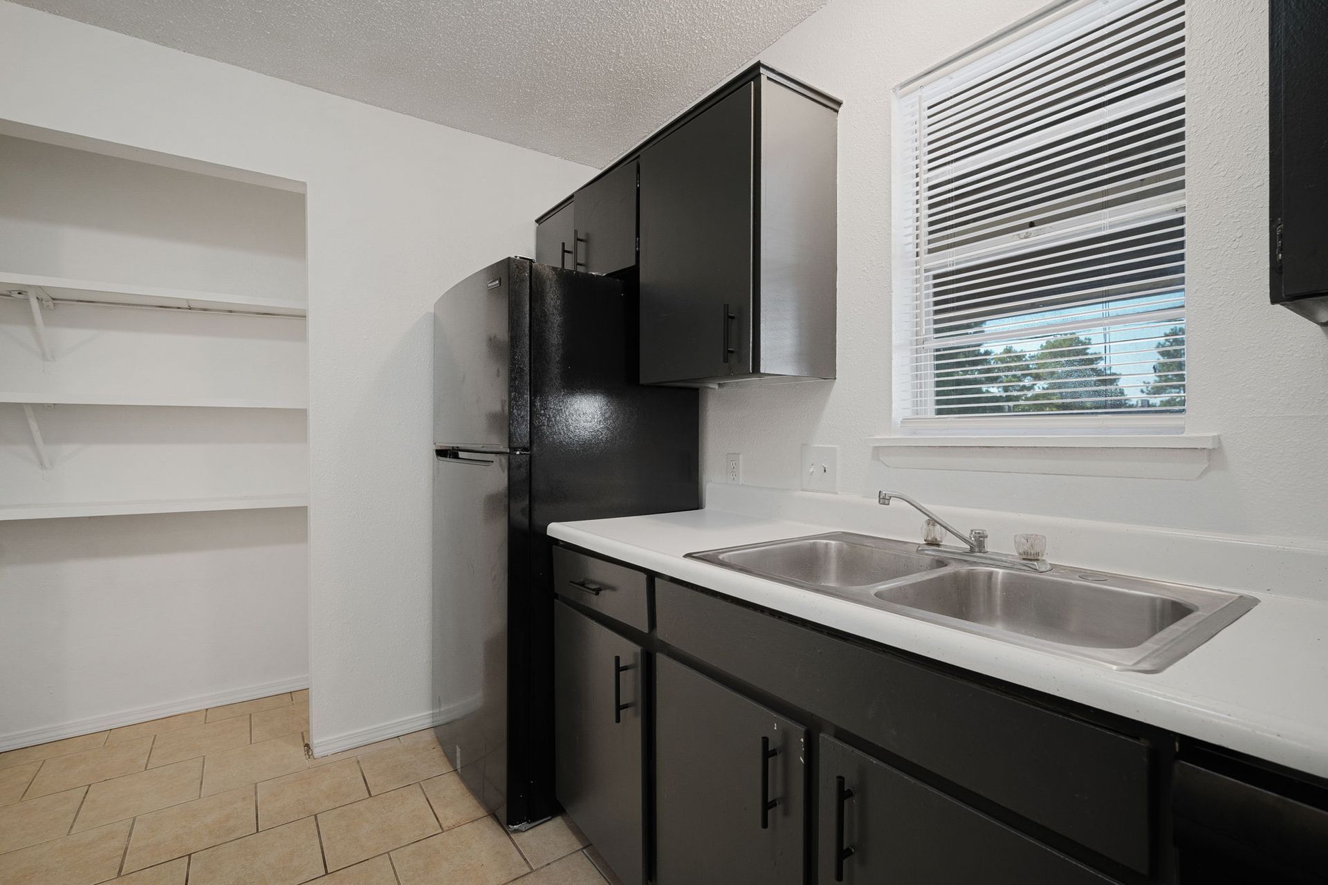 Photo showing the sink, refrigerator and built in shelves