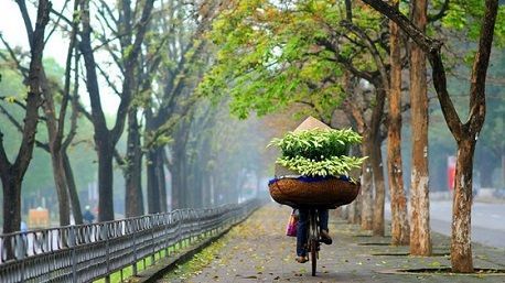 Hanoi in februari – Weer, Tet en reistips voor jouw vakantie