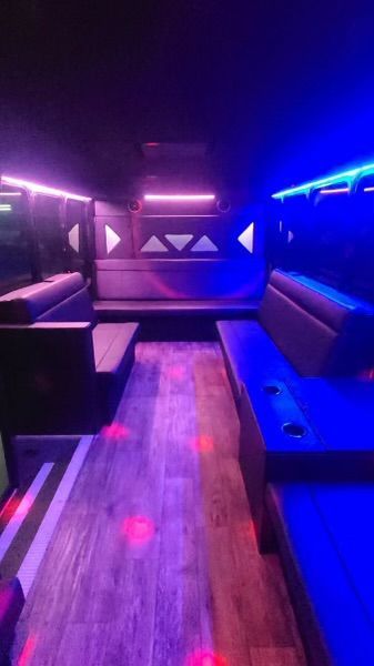 Blue Ribbon Limo Party Bus