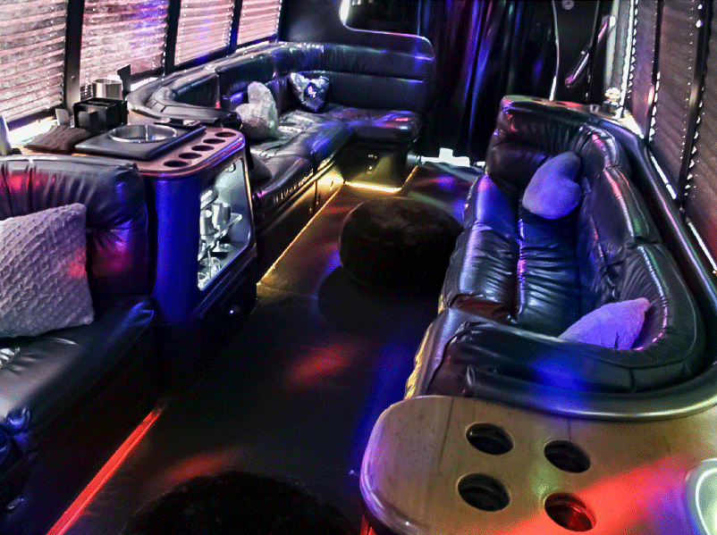 Blue Ribbon Limo Party Bus Mickinney, Allen, Prosper, Dallas TX