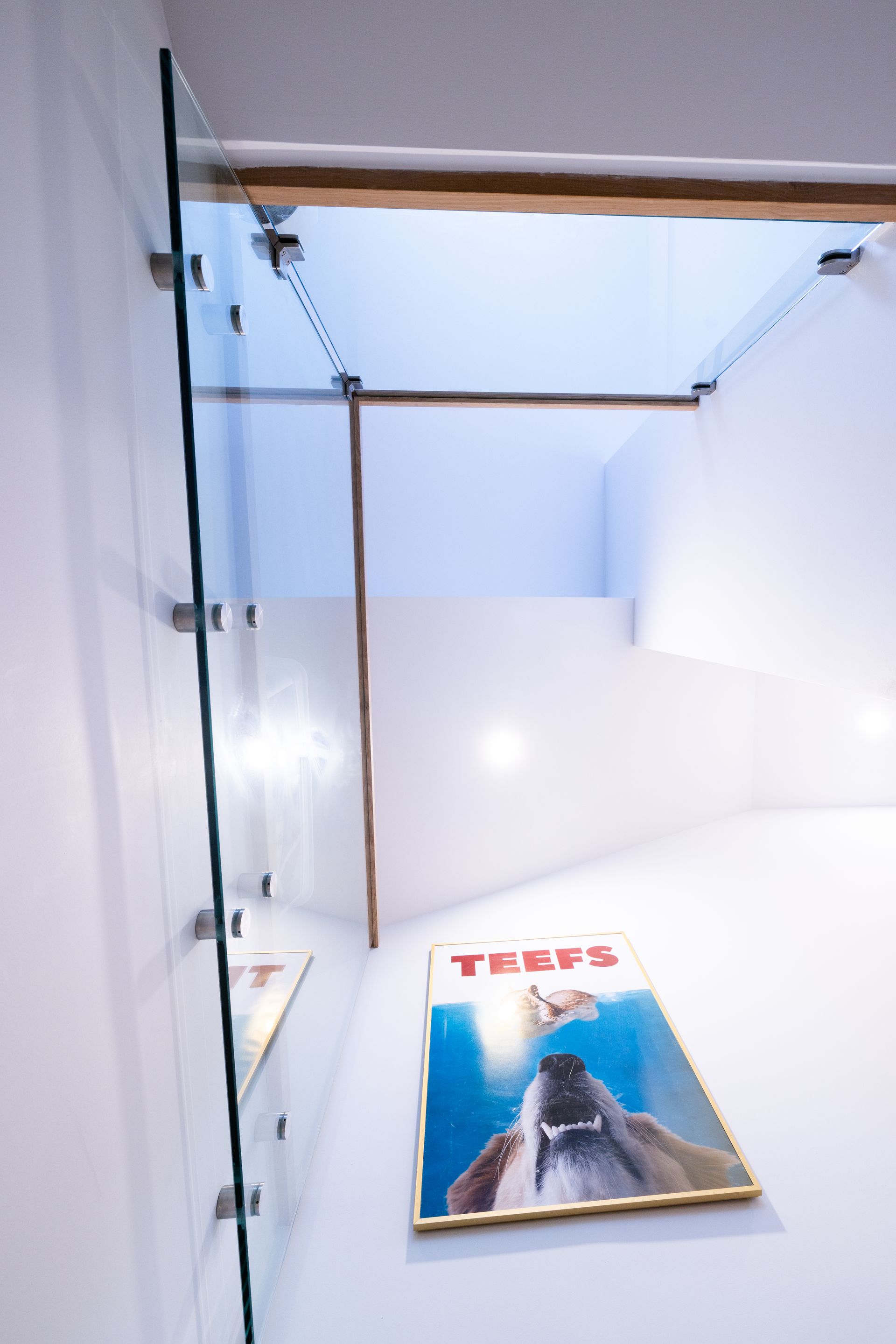 Glass-walled staircase with a poster featuring a dog. White walls, wood accents, and ceiling lights.