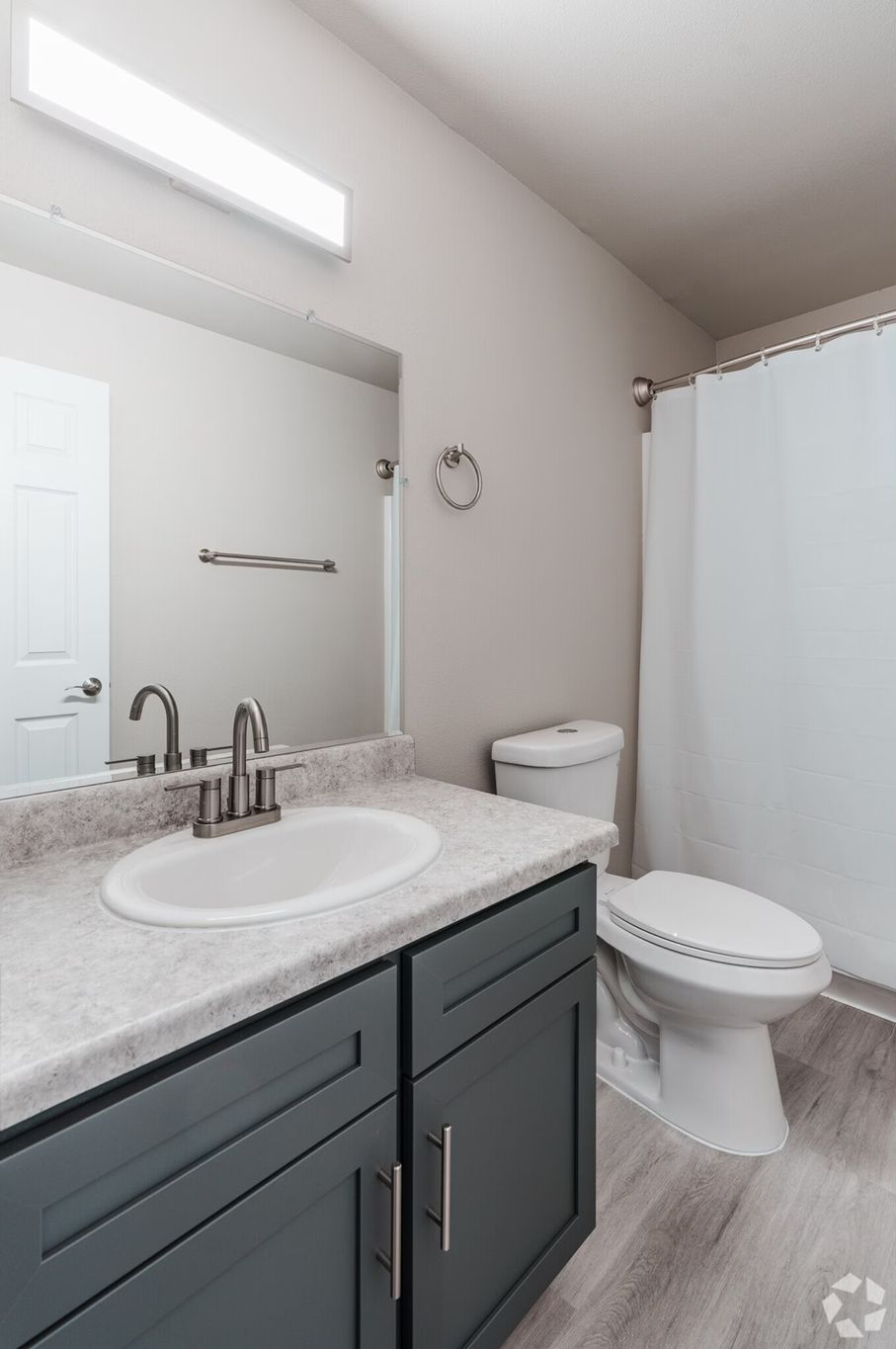 Bathroom with grey vanity, white sink, toilet, and shower with curtain.
