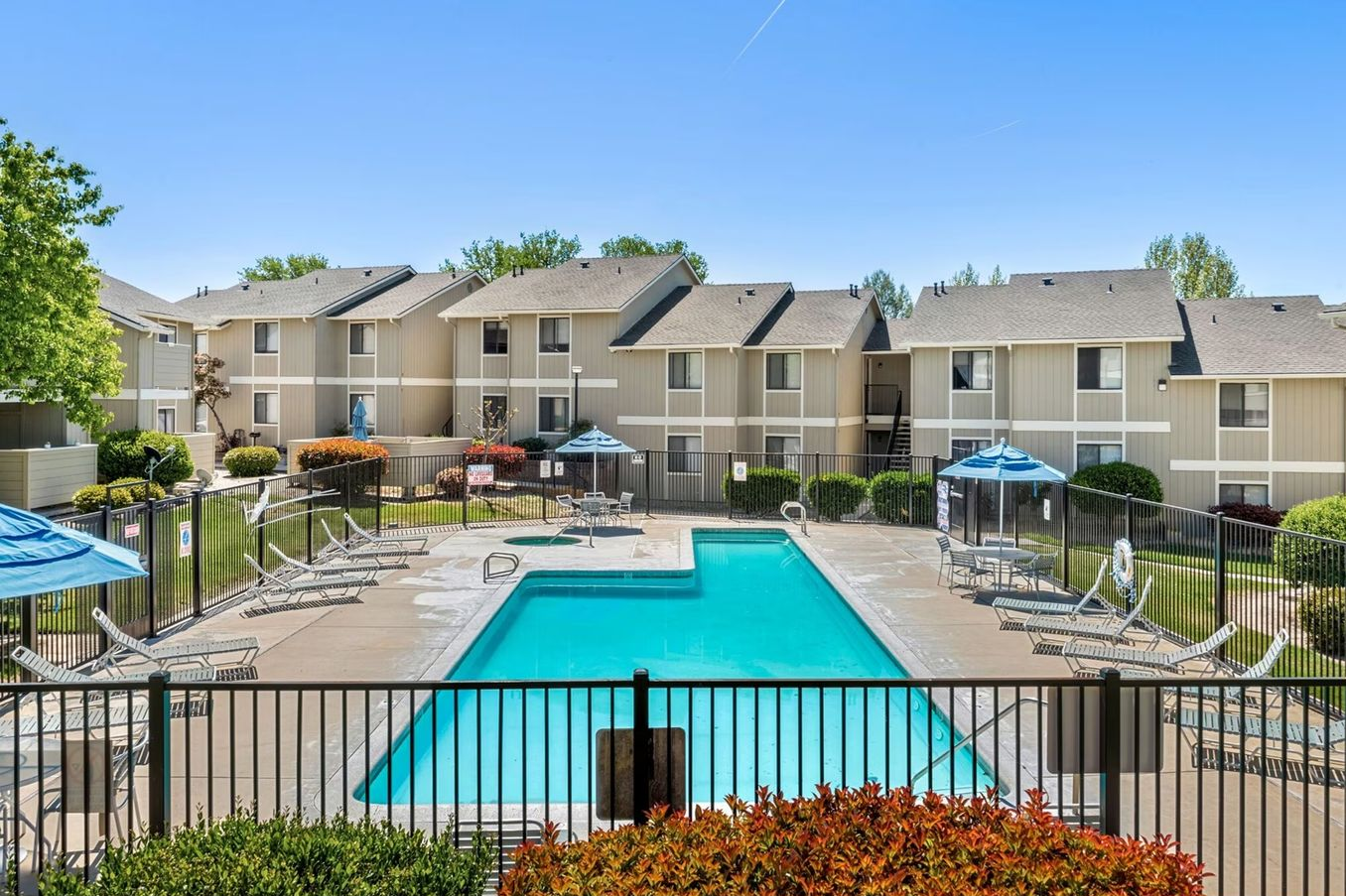 Peacock with vibrant blue feathers and long train stands on brown ground, trees in background.