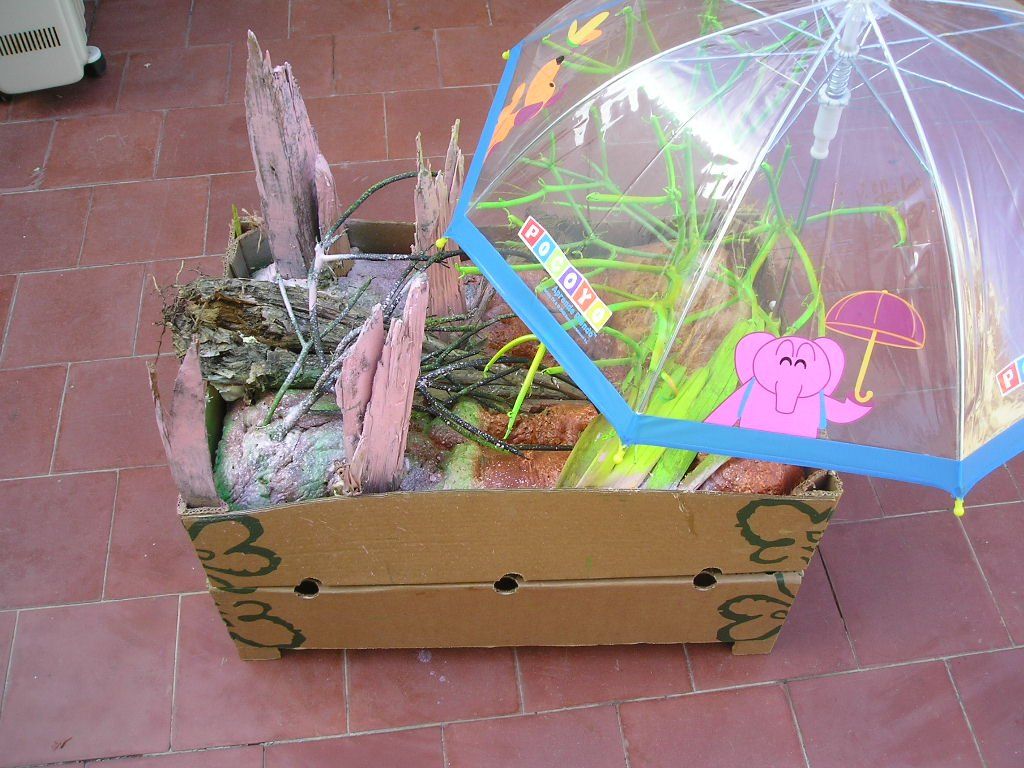 Ein Karton mit einem durchsichtigen Regenschirm mit einem Elefanten darauf