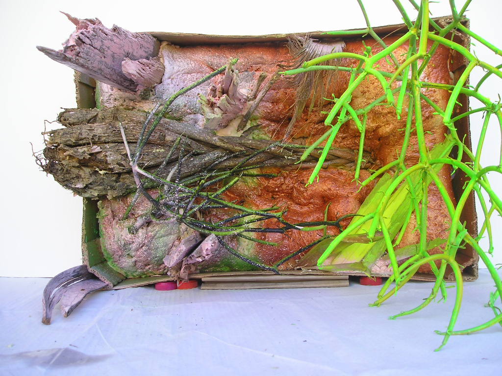 Auf einem Tisch steht ein Karton voller Zweige und Blätter.