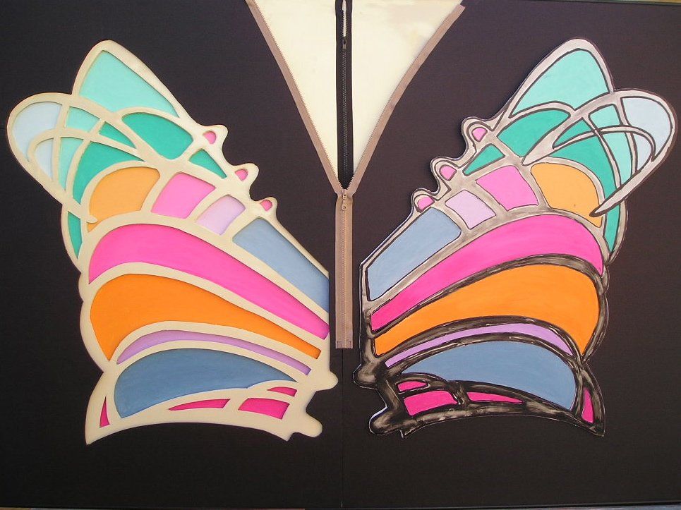 Ein Paar bunte Schmetterlingsflügel auf schwarzem Hintergrund