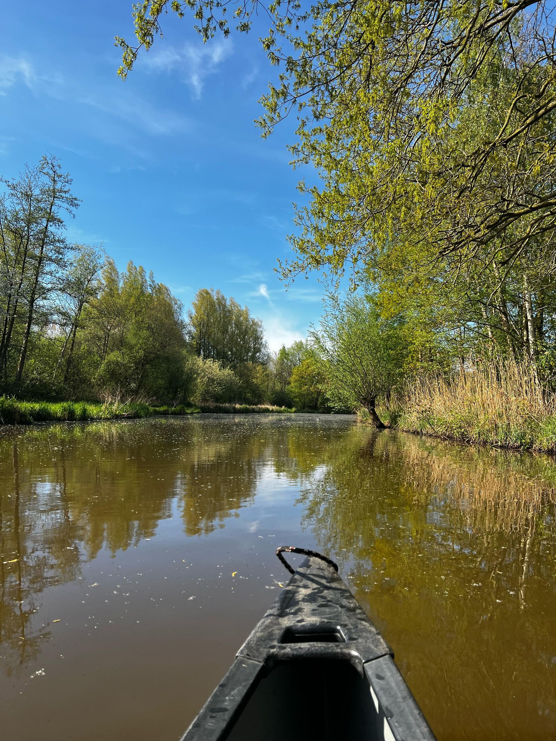 Een persoon peddelt in een kano over een rivier, omgeven door bomen.