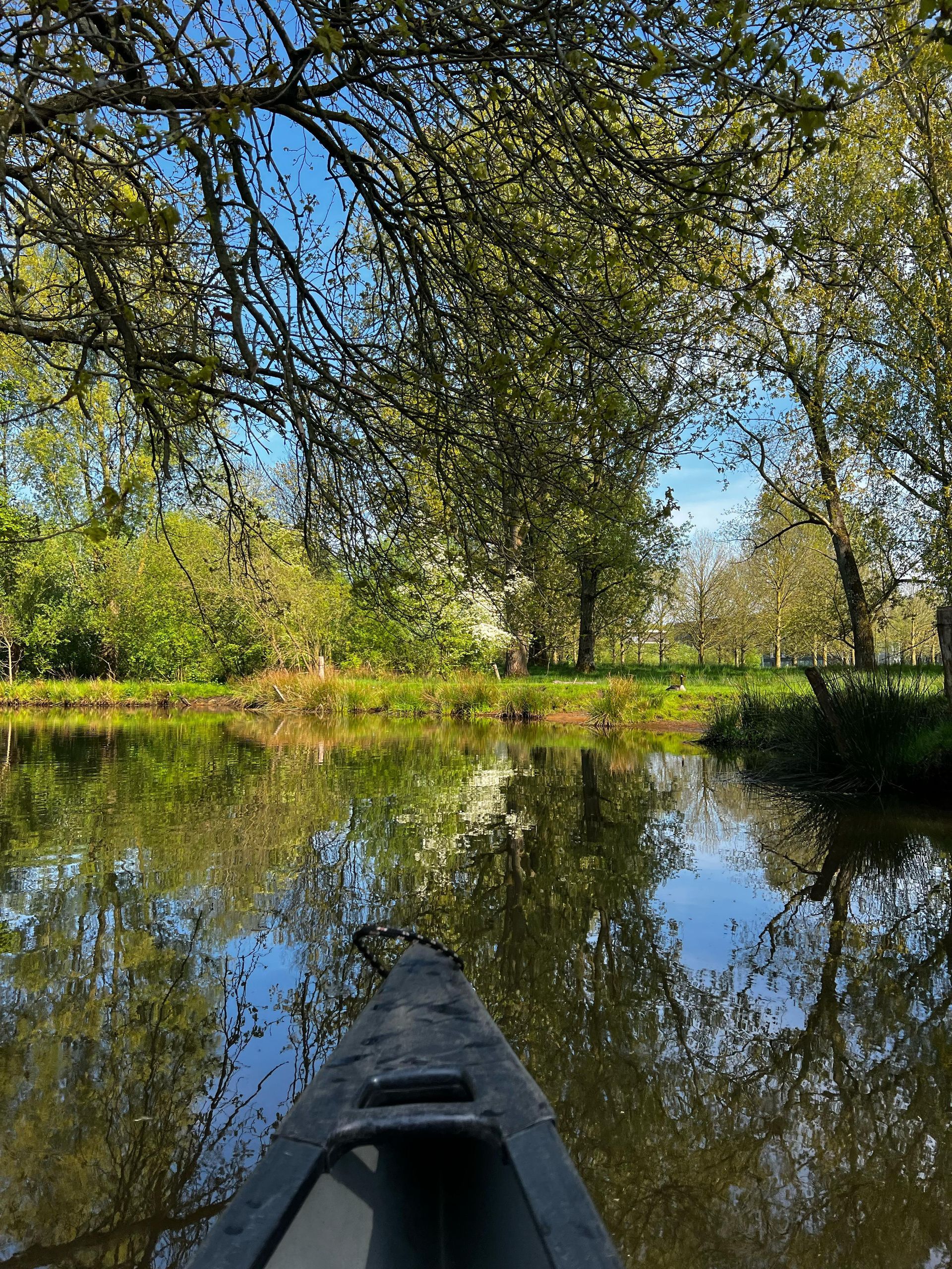 Een kano drijft op een meer omgeven door bomen.