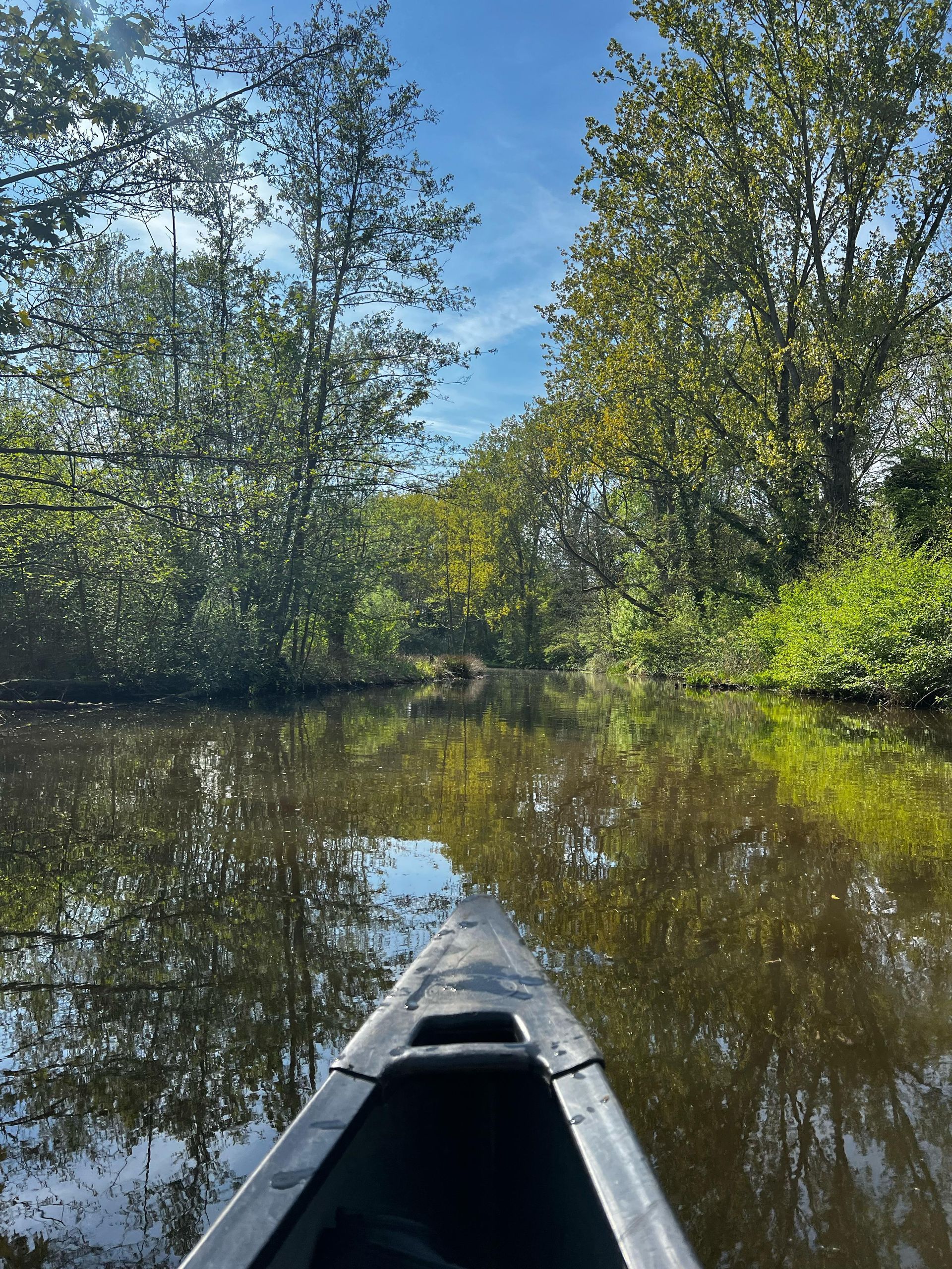 Iemand vaart in een kajak over een rivier, omgeven door bomen.