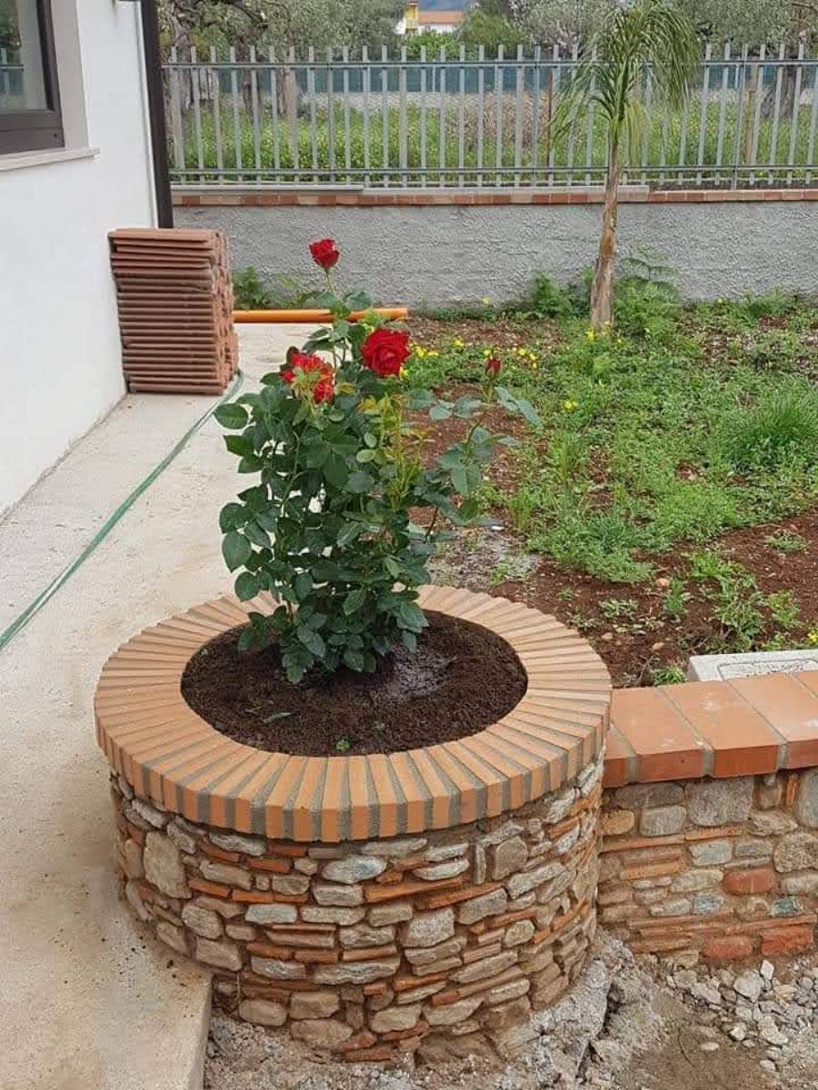 aiuola con rose