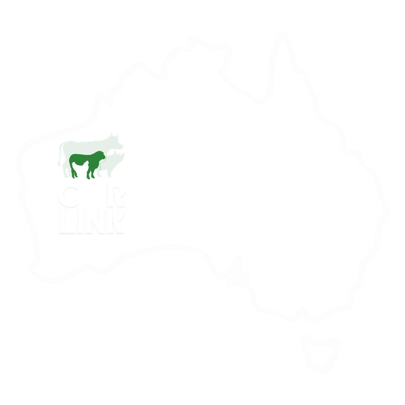 A green silhouette of a cow and a calf on a white background with the CoRLink Logo and national animal welfare