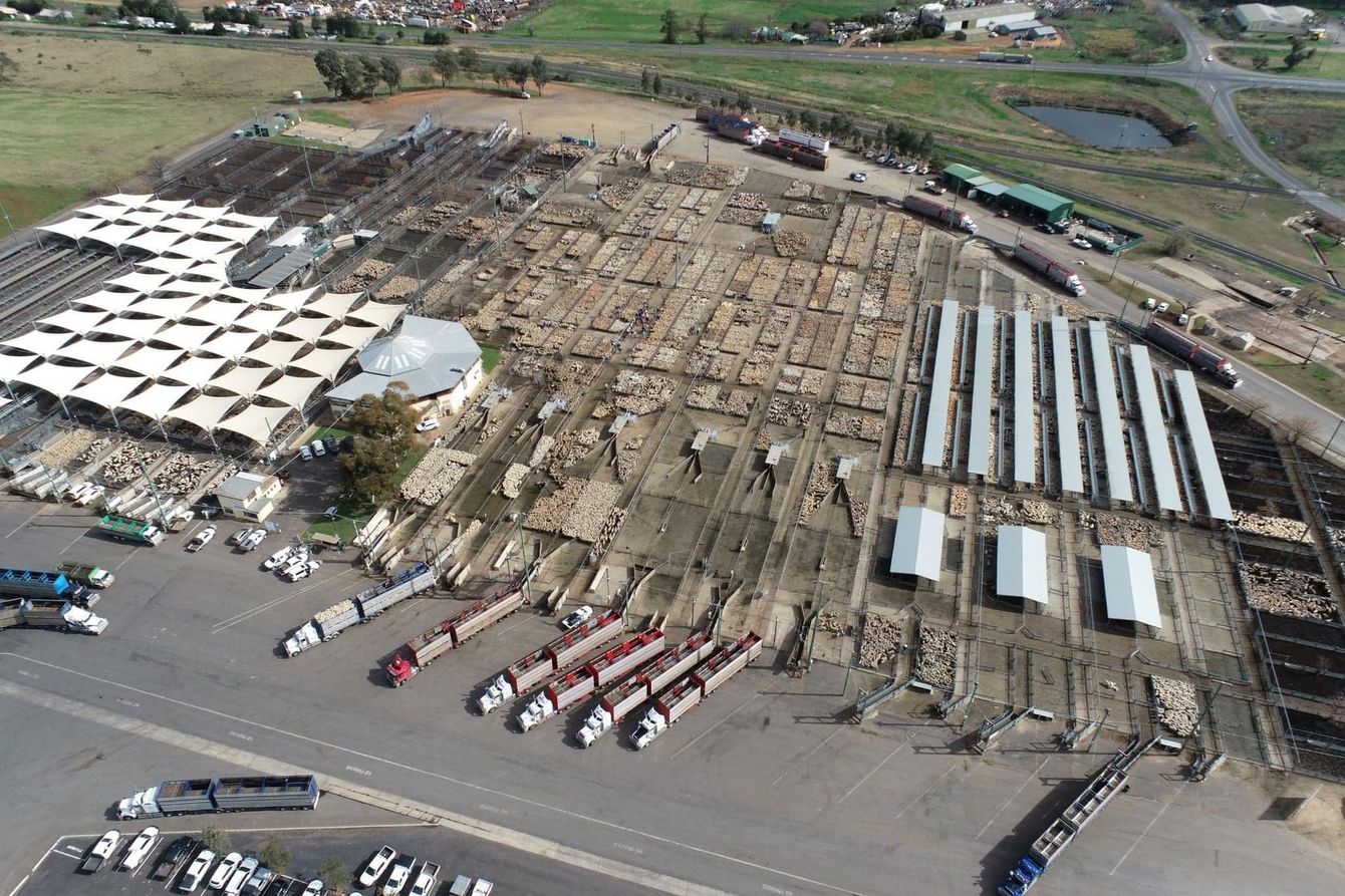 An aerial view of a livestock sales yard
