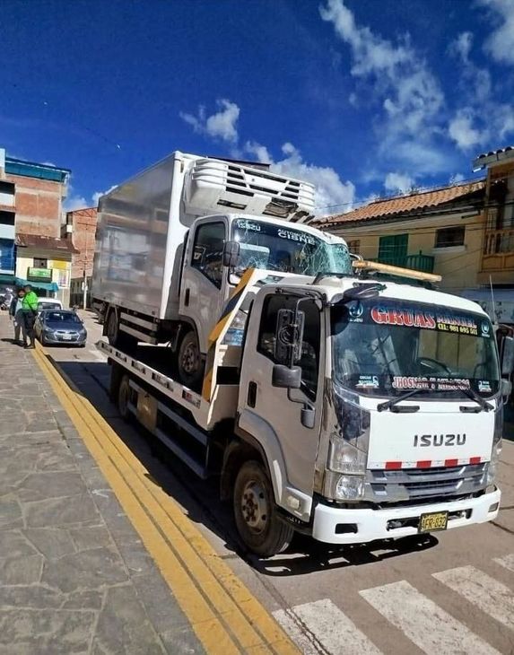 Un camión Isuzu blanco está estacionado al costado de la carretera.