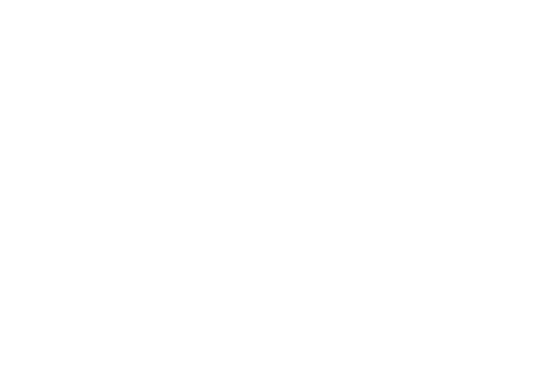 Empty white background.