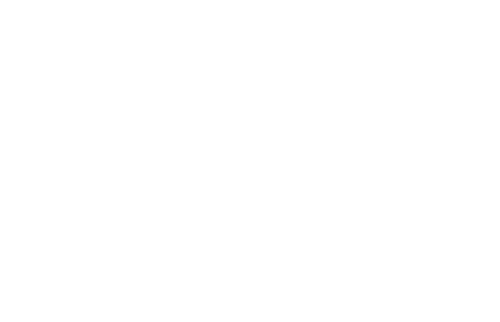 Access Now logo
