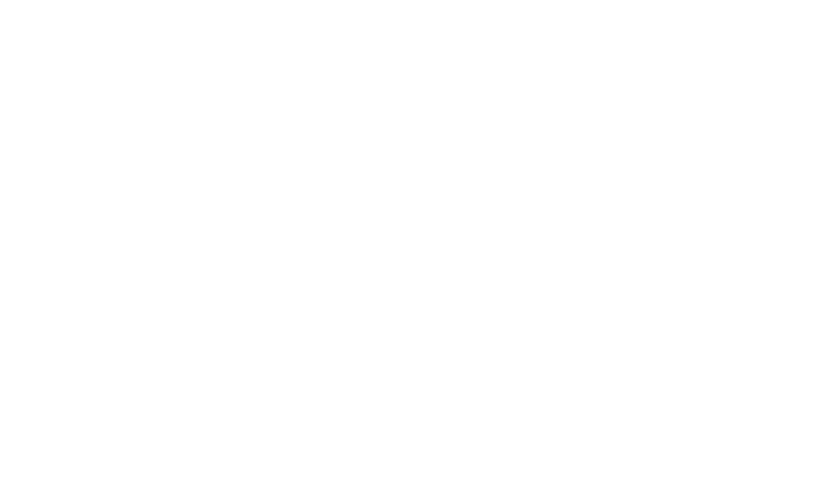 A red and white logo for rise realty