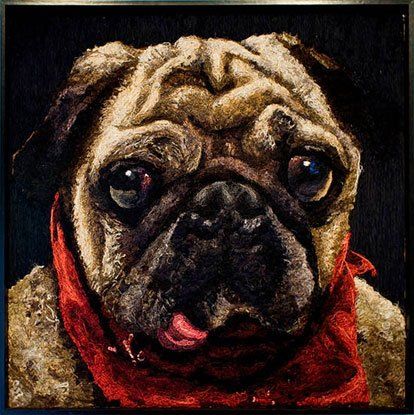 A pug dog wearing a red scarf around its neck