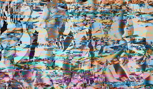 A conglomeration of color and images.