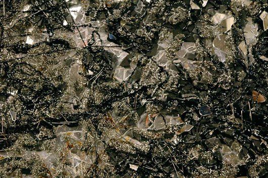 A close up of a rocky surface with a lot of rocks and branches.