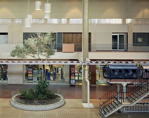 A building with stairs and a tree in the middle