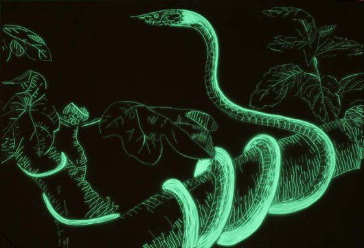 A glow in the dark drawing of a snake on a tree branch.