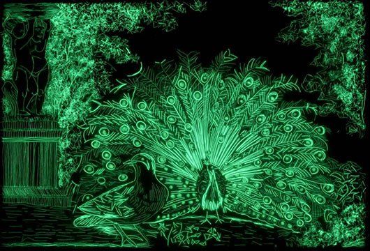 A peacock with its feathers spread out is glowing in the dark.