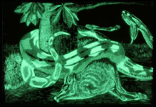A glow in the dark drawing of a snake eating a kangaroo.