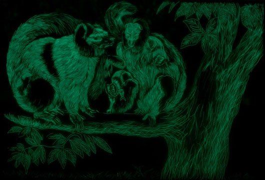 A couple of squirrels are sitting on a tree branch.