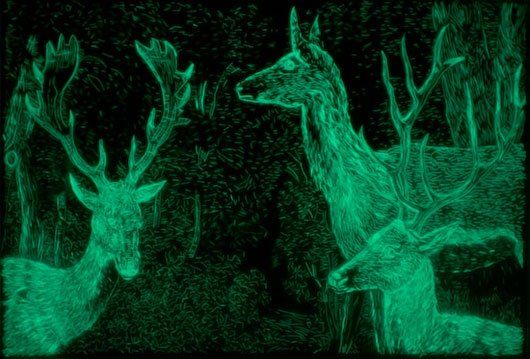 A group of deer are glowing in the dark.