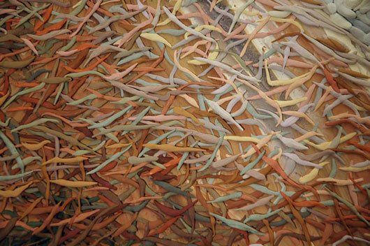 A bunch of fish are swimming in a pond.