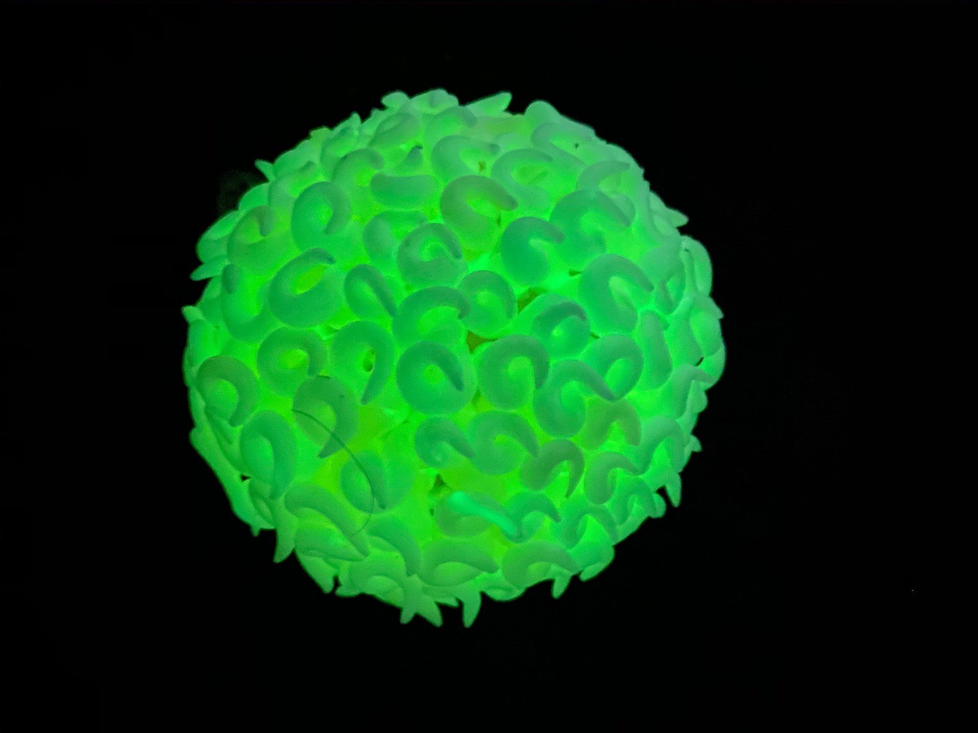 A green glow in the dark ball on a black background.