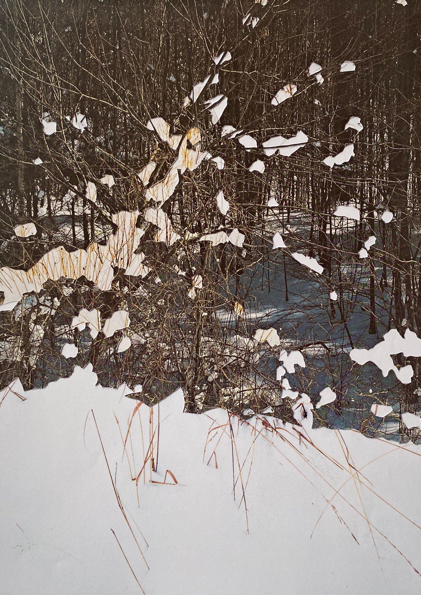 A painting of a snowy forest with trees covered in snow