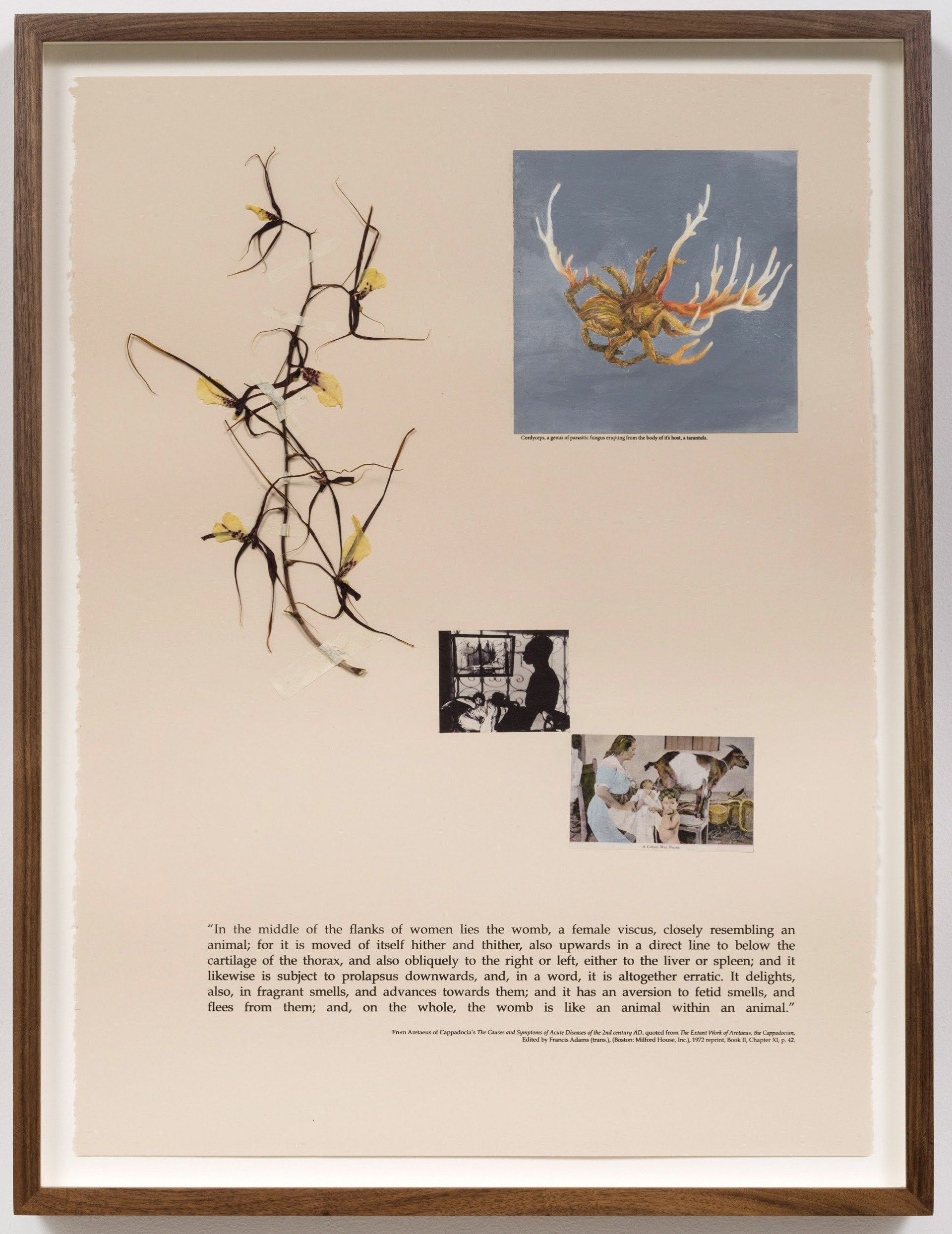 A framed painting of a tree branch and antlers