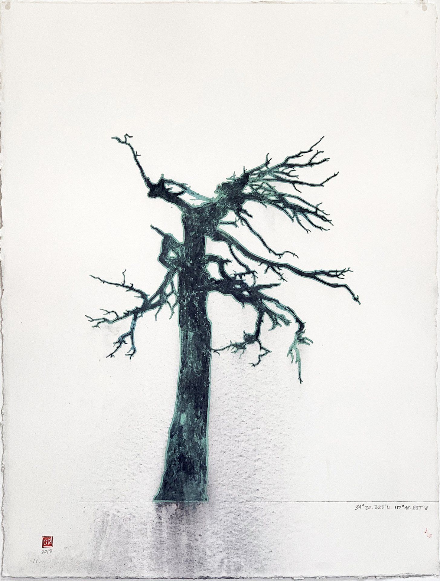 A drawing of a tree without leaves on a white background