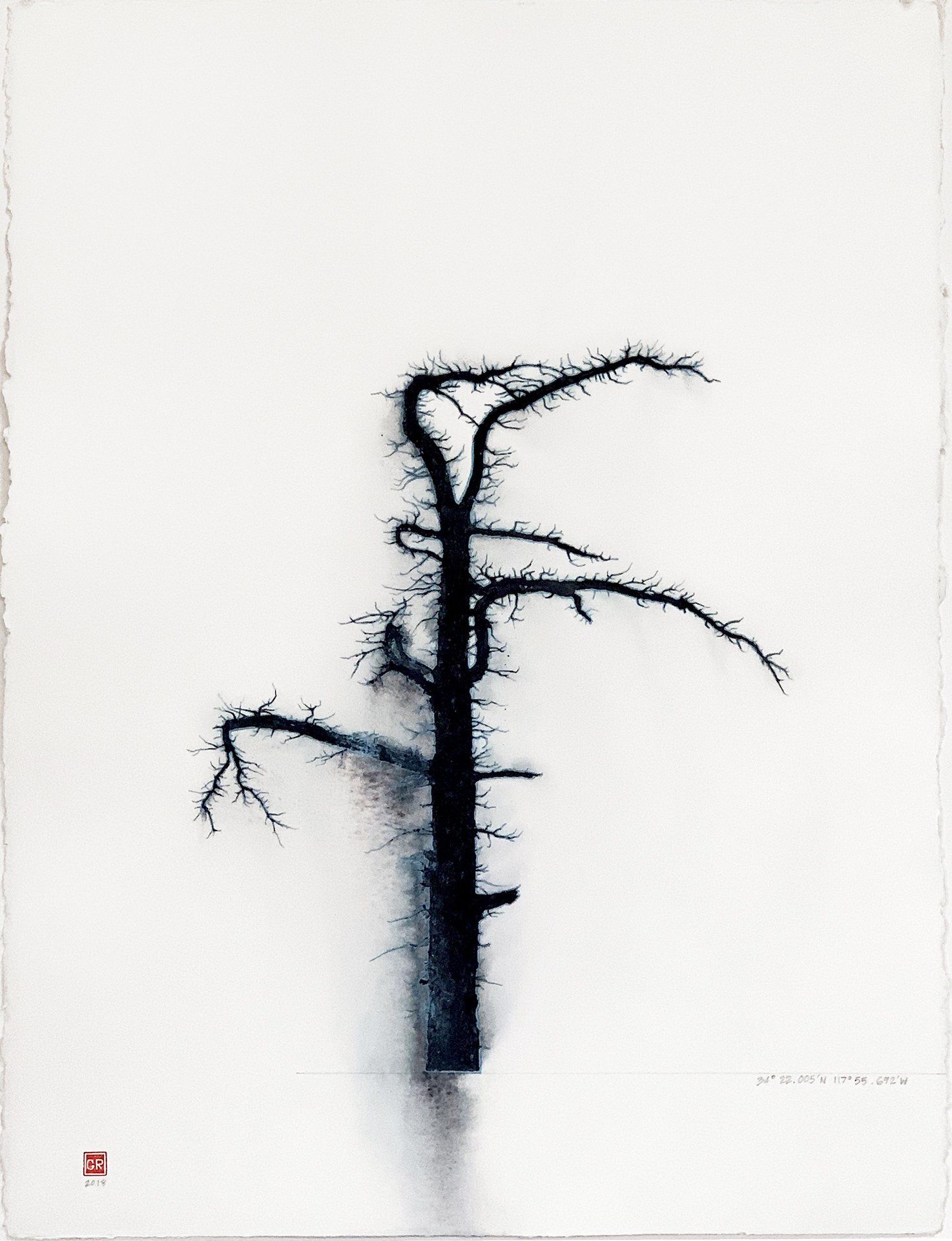 A black and white drawing of a tree without leaves