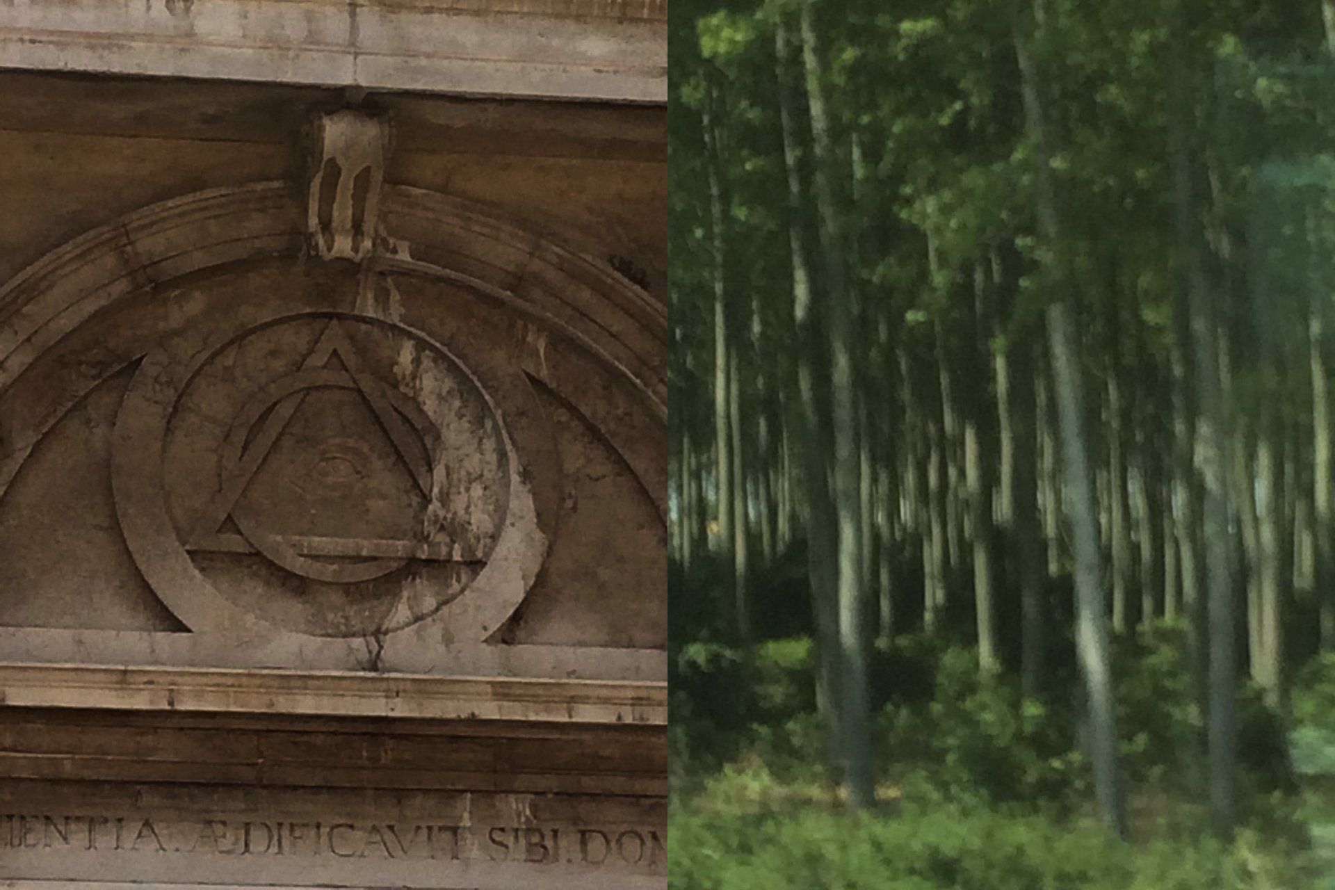 A picture of a building and a picture of trees.