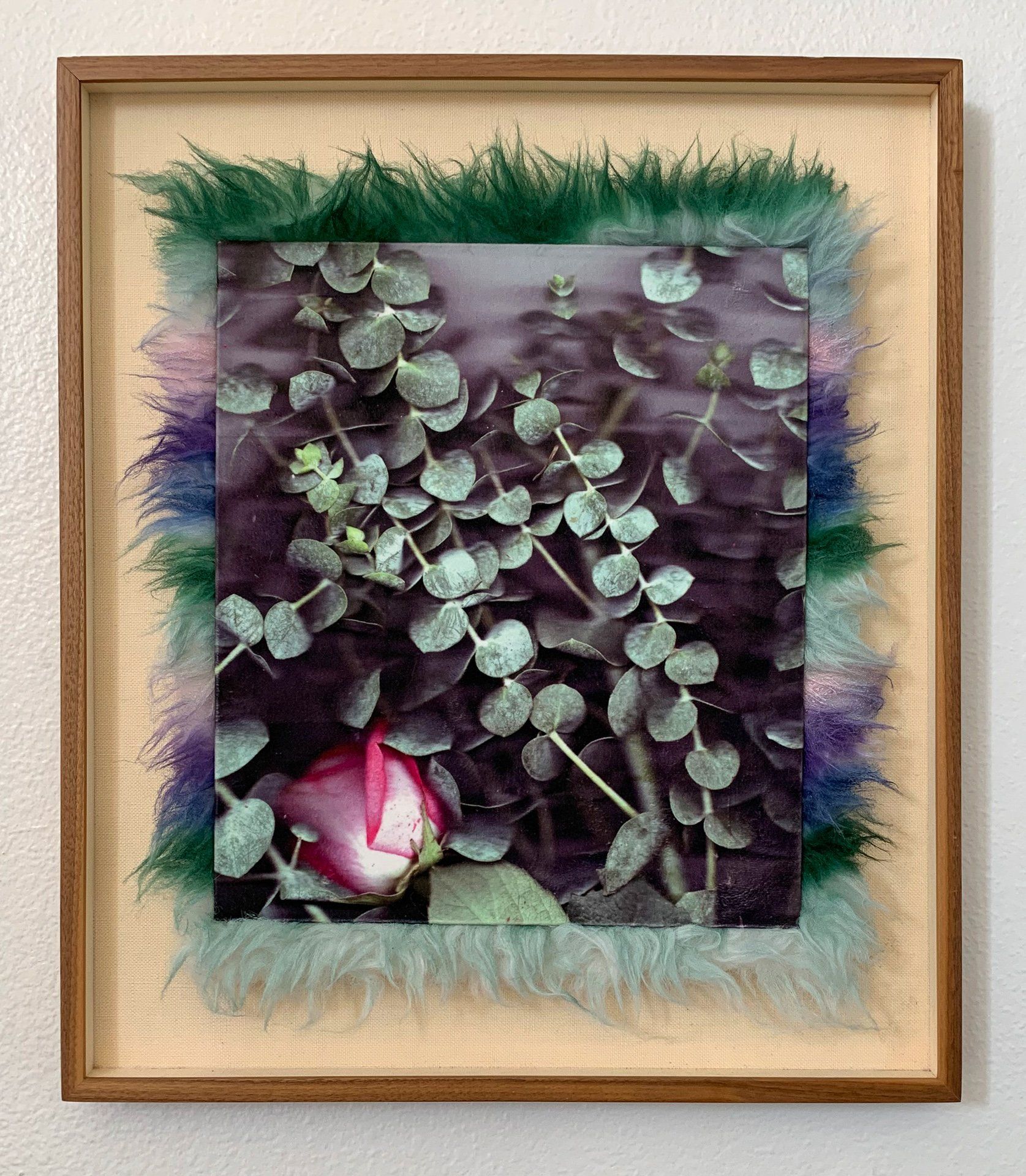 A framed picture of a flower with feathers around it